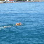 IMG_0779